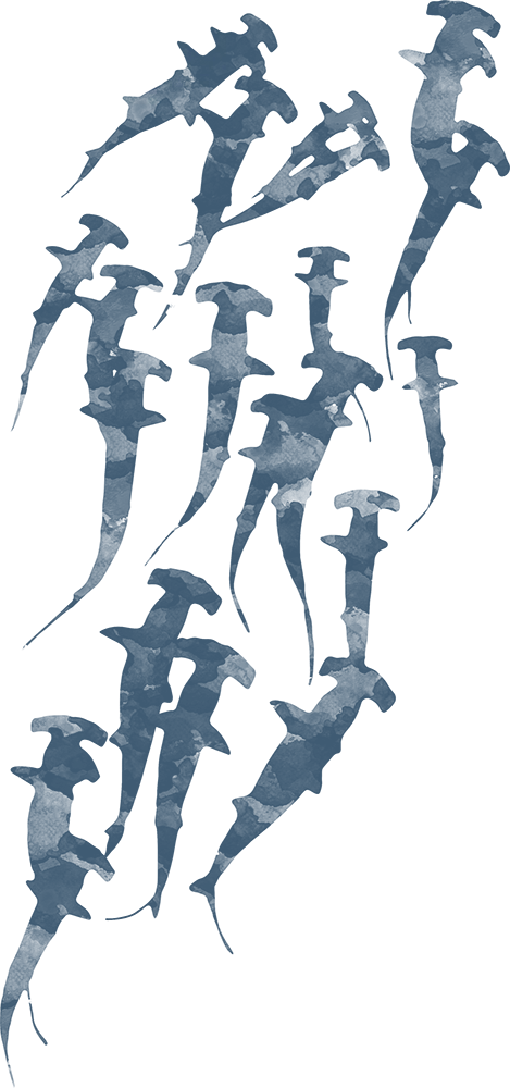 Hammerhead Swarm