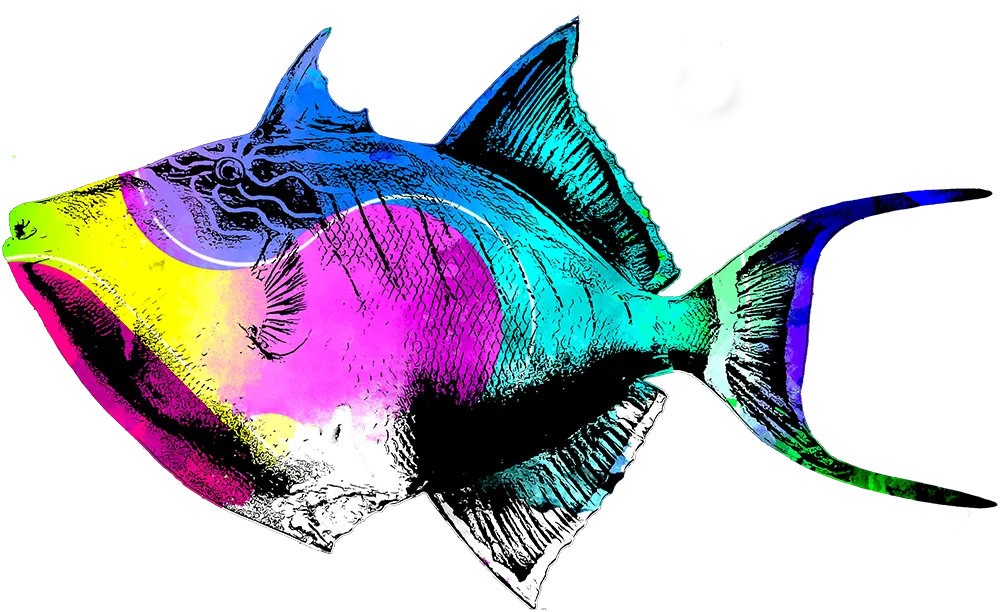 Triggerfish